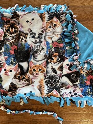 Cat bed blanket and fleece toy