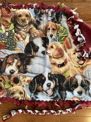 Dog bed blanket and fleece toy
